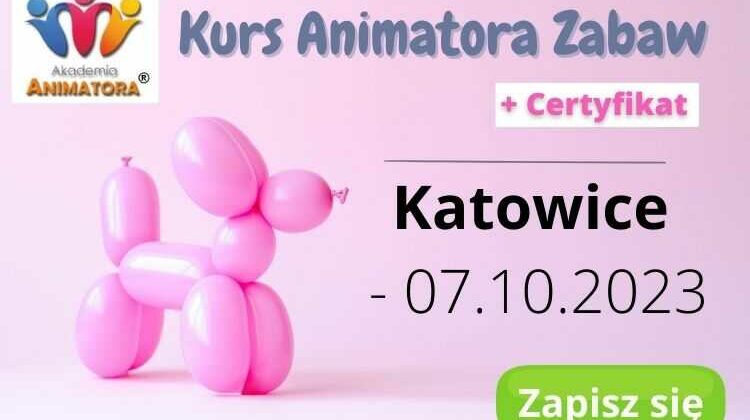 Kurs Animatora Katowice